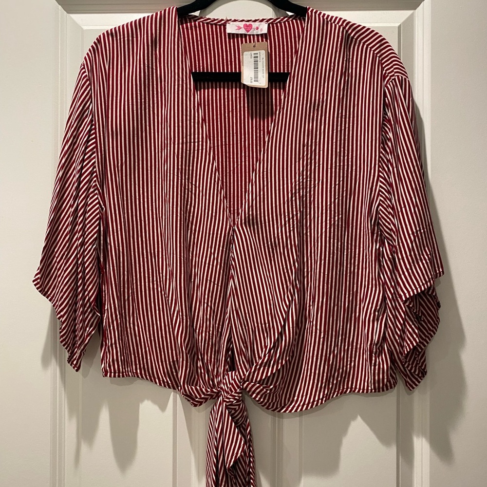 Buddy Love cropped tie top